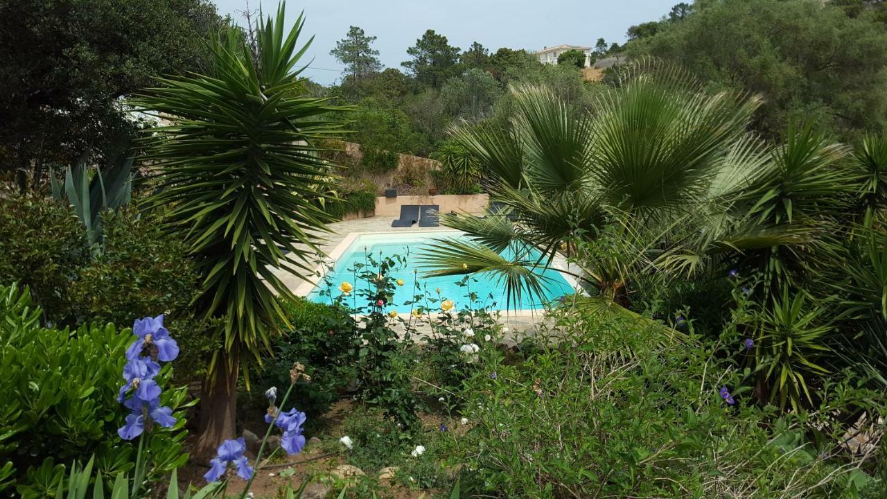פאבונה Villa Mimosa מראה חיצוני תמונה