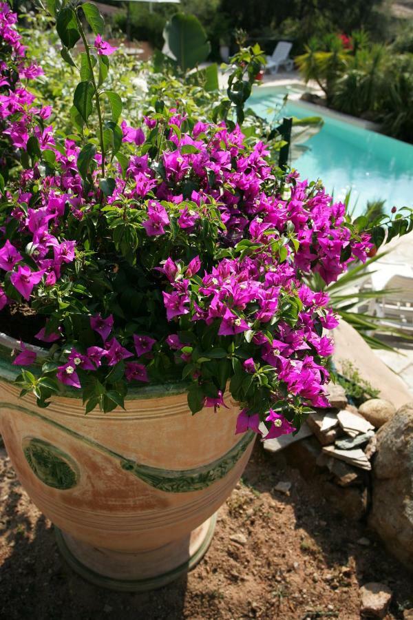 פאבונה Villa Mimosa מראה חיצוני תמונה